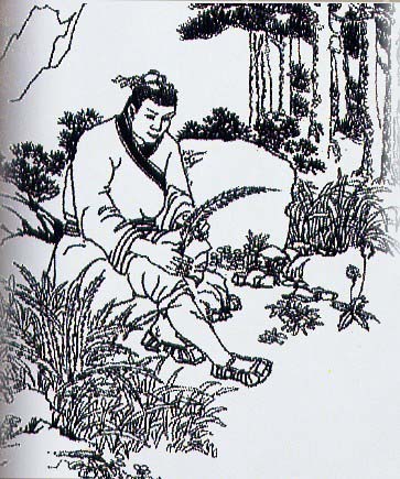 看小草.jpg